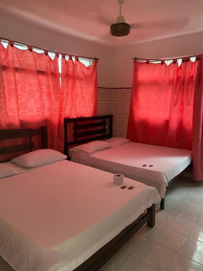 Hostal La Terraza - Santa Marta (Magdalena) — Photos 2